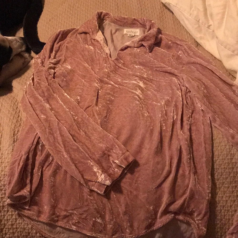 Blush velvet blouse